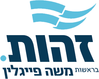 זעהוט — זעהוט פארטיי אונטער דער פירערשאפט פון משה פייגלין