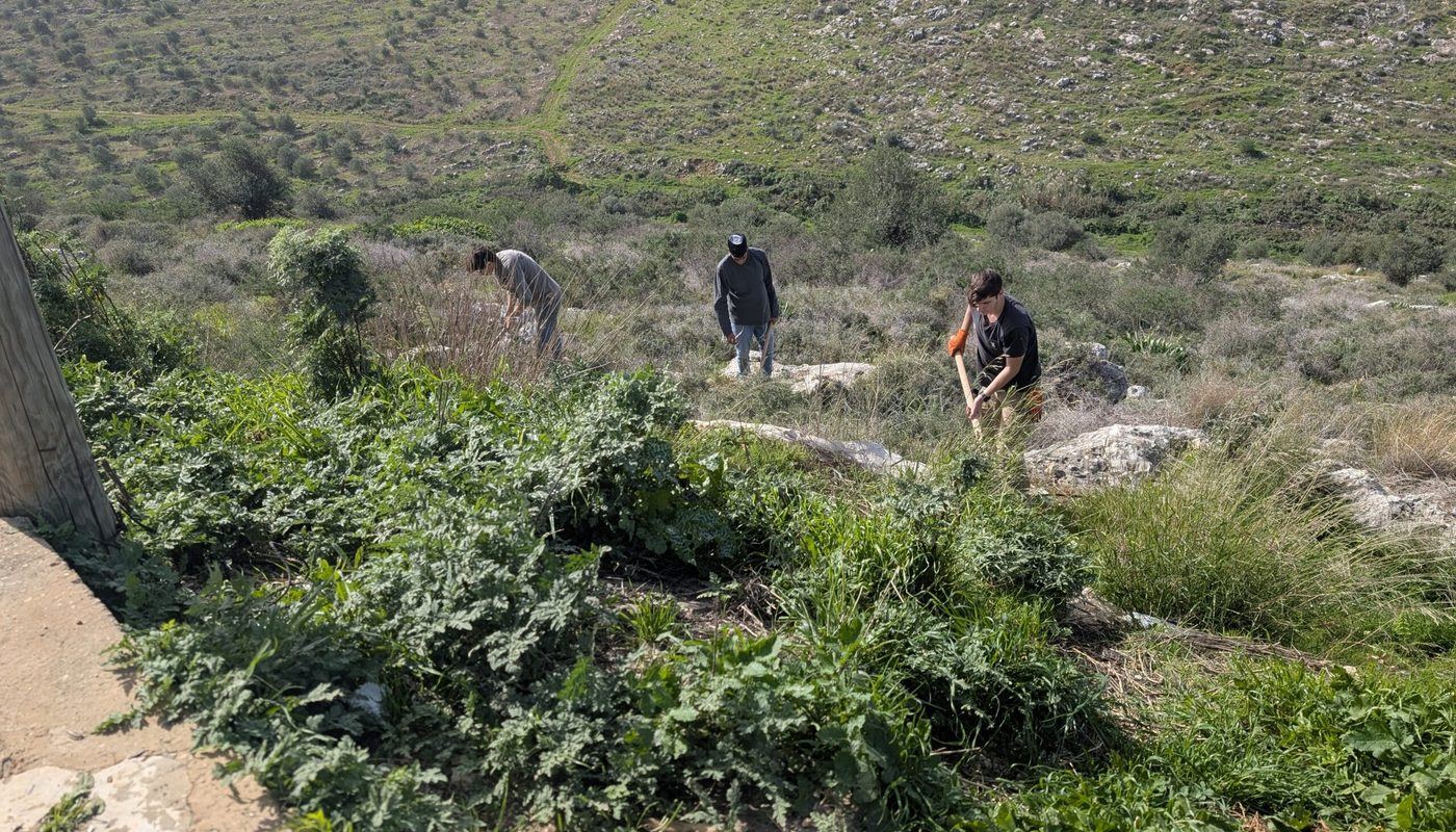 Des bénévoles cultivant et s'installant sur la terre d'Israël — la terre au peuple